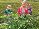 Učíme se v zahradě - kouzelné bylinky 